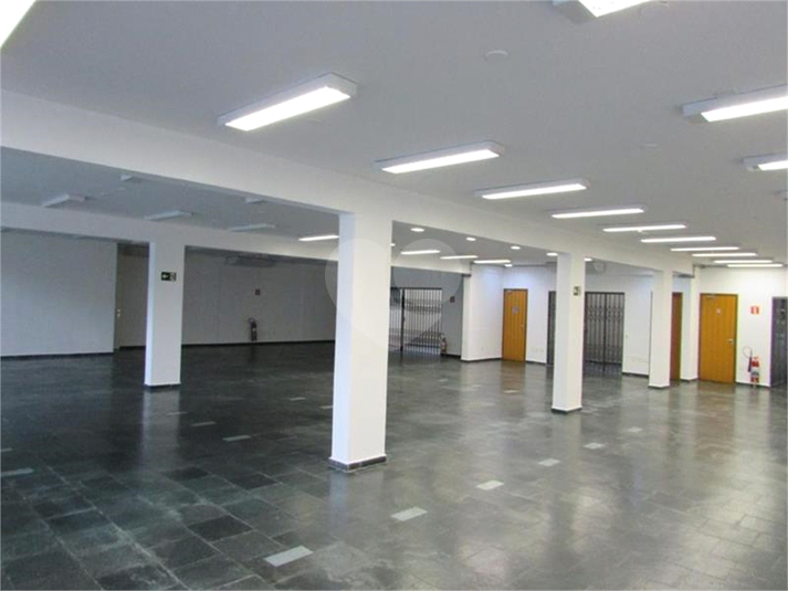 Foto REO706155