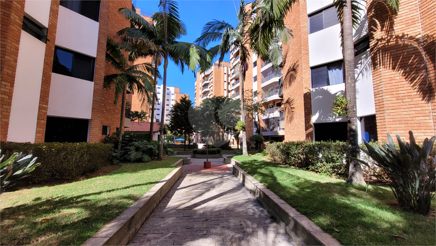 Foto REO706341