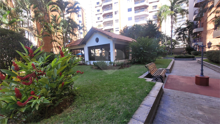 Foto REO706341
