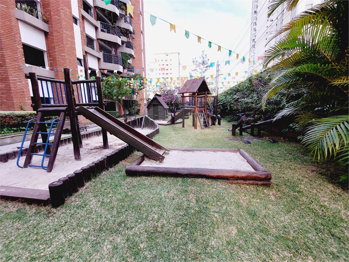Foto REO706341