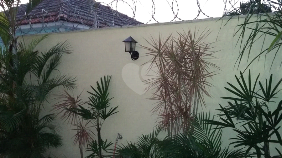 Foto REO706465