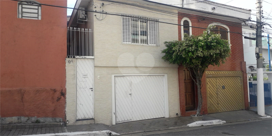 Foto REO706566