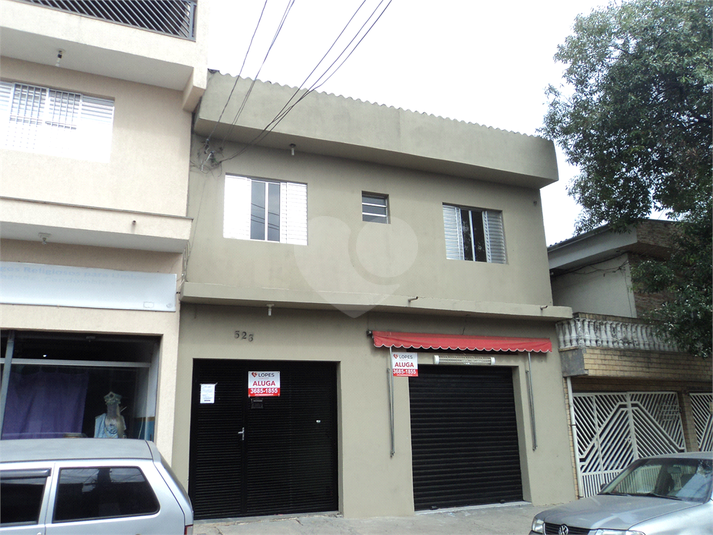 Foto REO706674