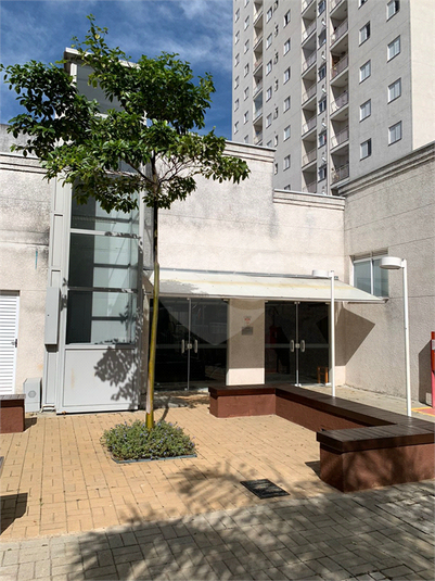 Apartamento 2 Quartos Para Alugar Parque Santana Mogi Das Cruzes