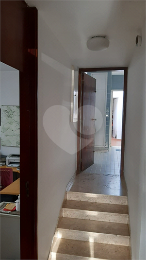 Foto REO706941
