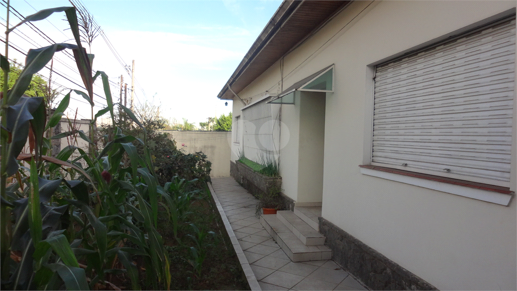 Aluguel Casa térrea São Paulo Butantã REO707045 1