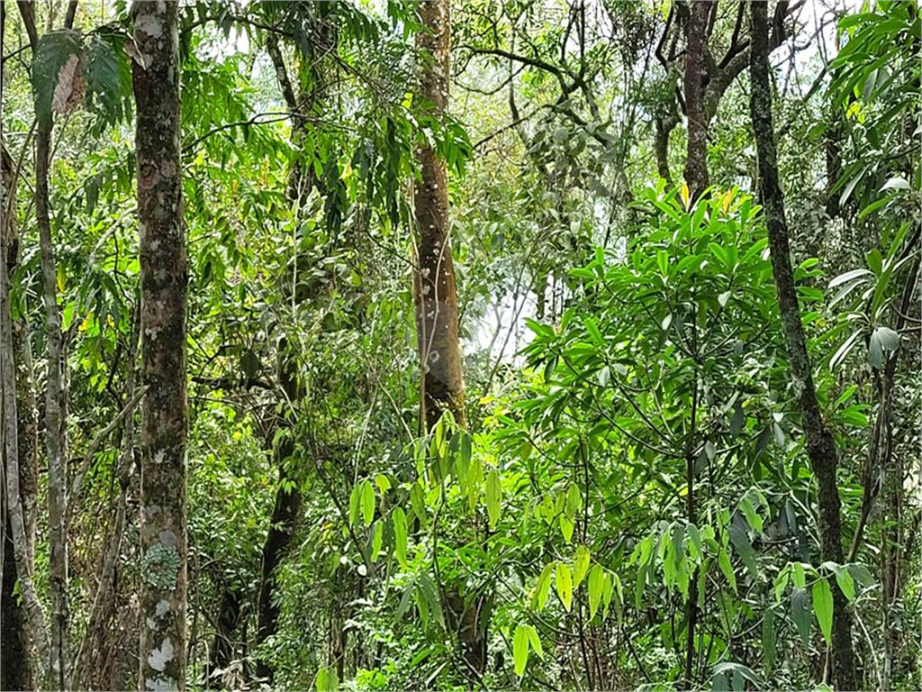 Venda Condomínio Mairiporã Caraguatá REO707151 5