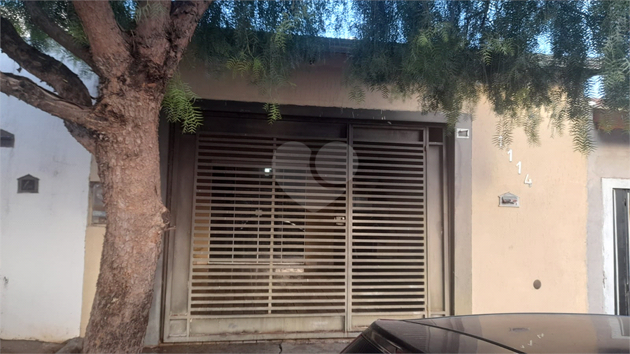 Foto REO707159