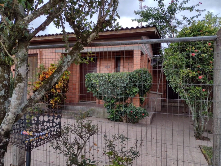 Foto REO707257