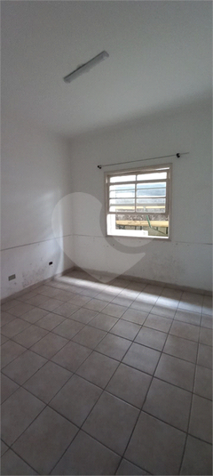 Foto REO707278
