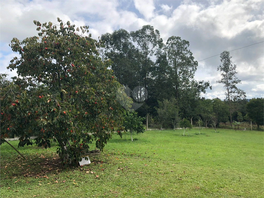 Venda Sítio Gravataí Loteamento Rural Palermo REO707517 1