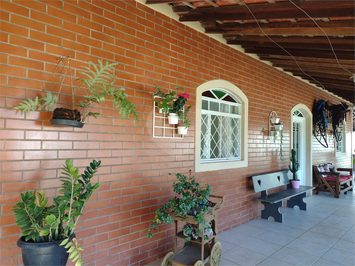 Foto REO707569