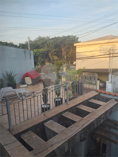 Foto REO707785