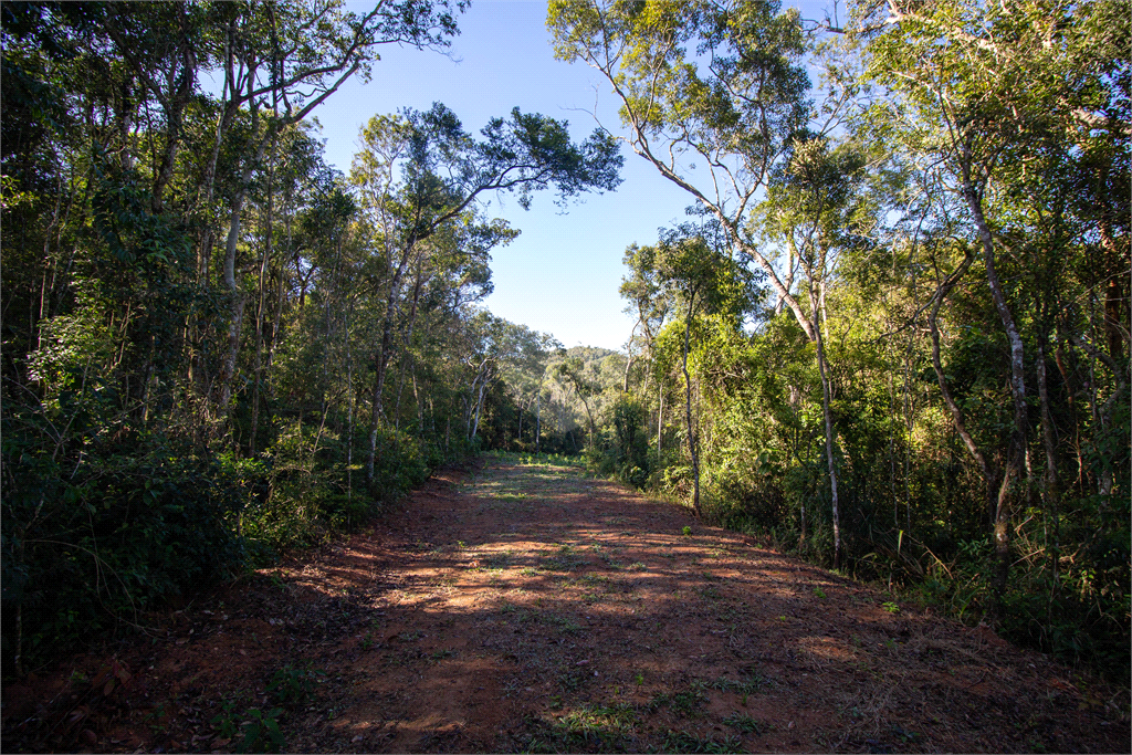 Venda Terreno São Roque Centro (canguera) REO708216 3