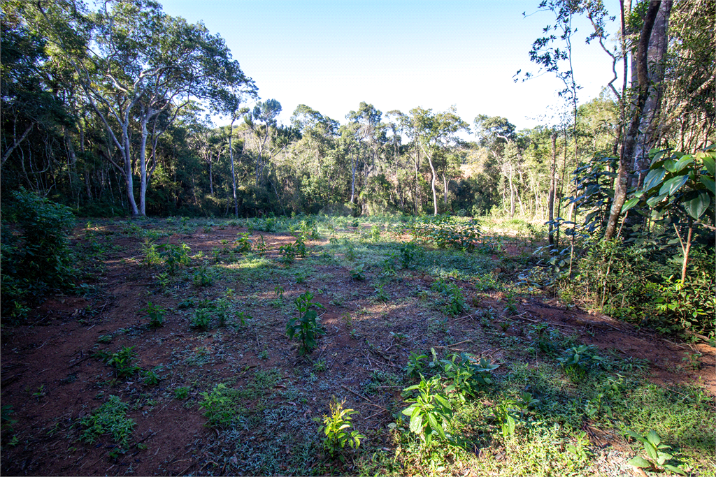 Venda Terreno São Roque Centro (canguera) REO708216 4