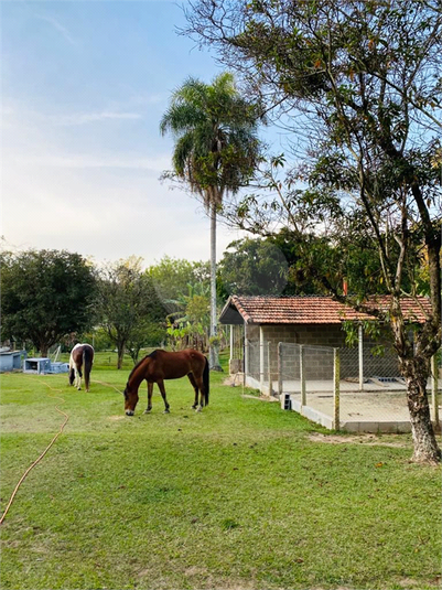 Foto REO708335
