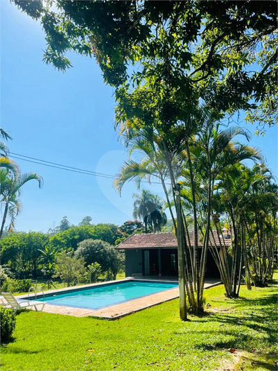 Foto REO708335