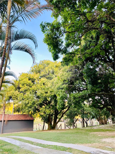 Foto REO708335
