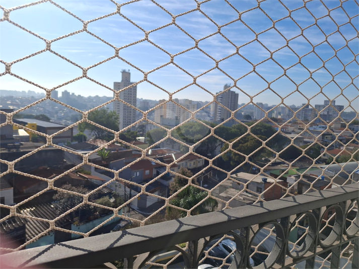 Foto REO708939