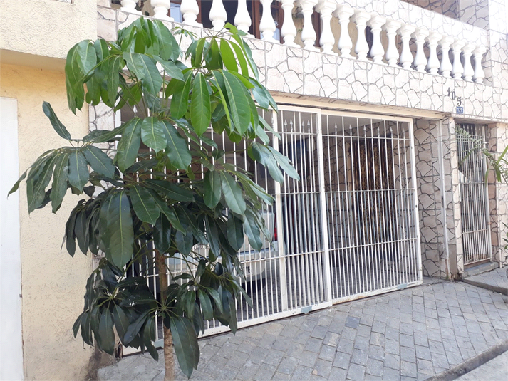 Foto REO709048