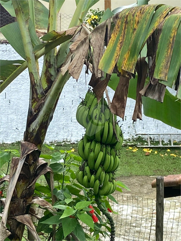 Venda Casa Ilhabela Centro REO709239 4