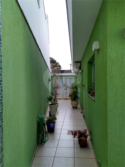 Foto REO709274