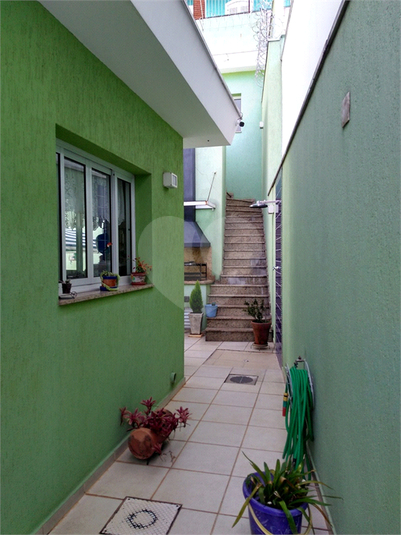 Foto REO709274