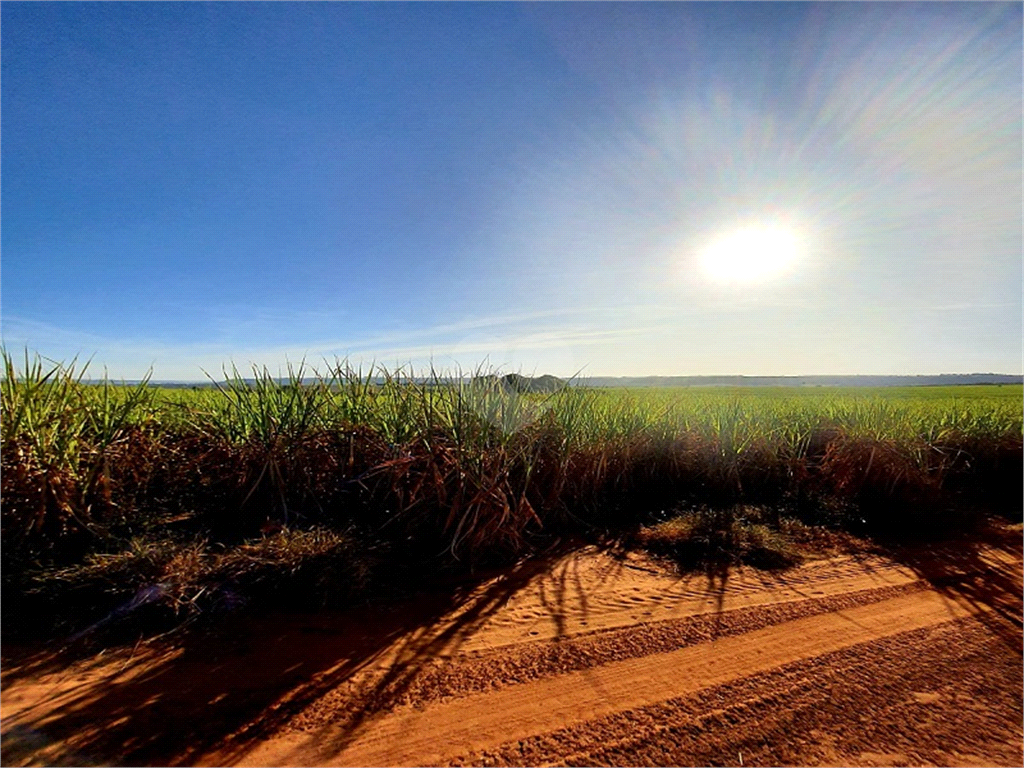 Venda Fazenda Ribeirão Bonito Distrito De Guarapiranga REO709278 5