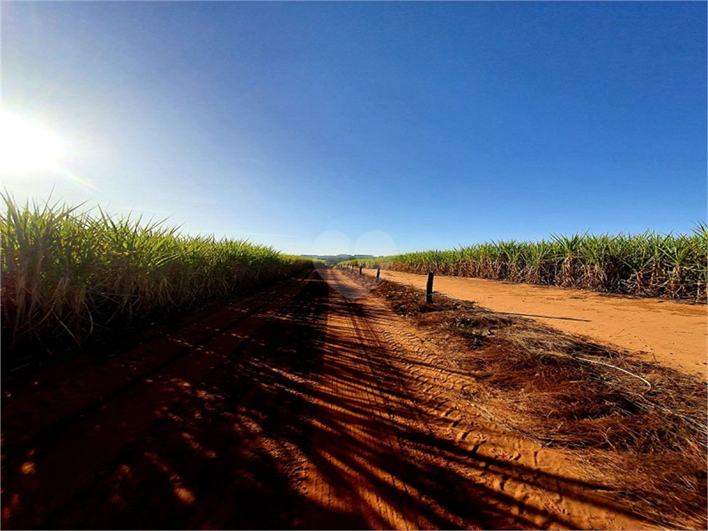 Venda Fazenda Ribeirão Bonito Distrito De Guarapiranga REO709278 14