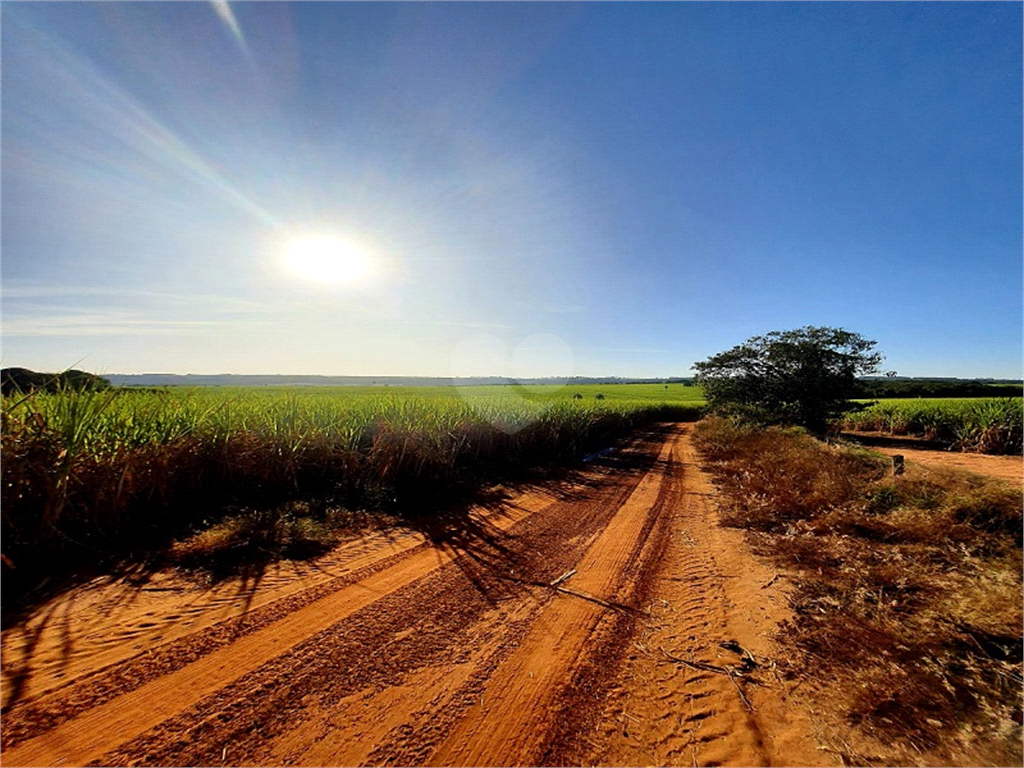 Venda Fazenda Ribeirão Bonito Distrito De Guarapiranga REO709278 6