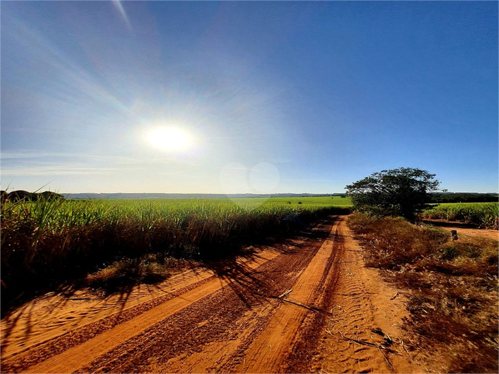 Venda Fazenda Ribeirão Bonito Distrito De Guarapiranga REO709278 8