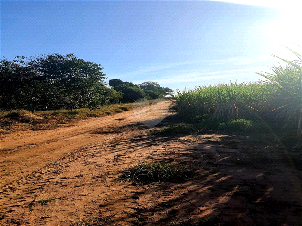 Venda Fazenda Ribeirão Bonito Distrito De Guarapiranga REO709278 10