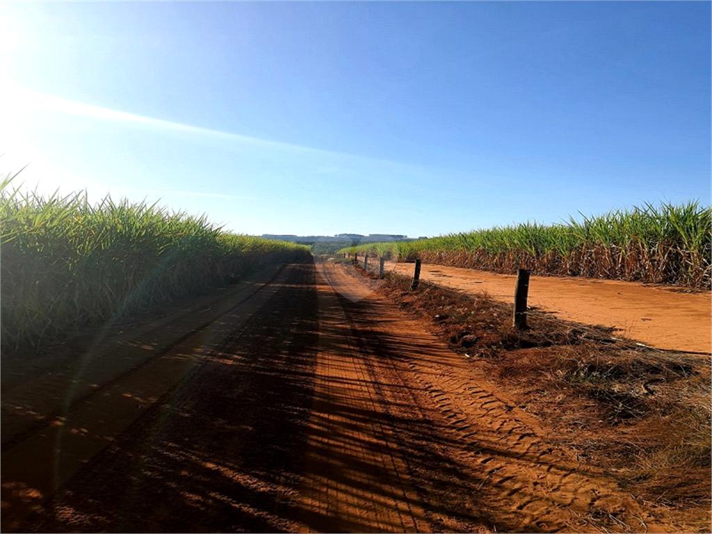 Venda Fazenda Ribeirão Bonito Distrito De Guarapiranga REO709278 9