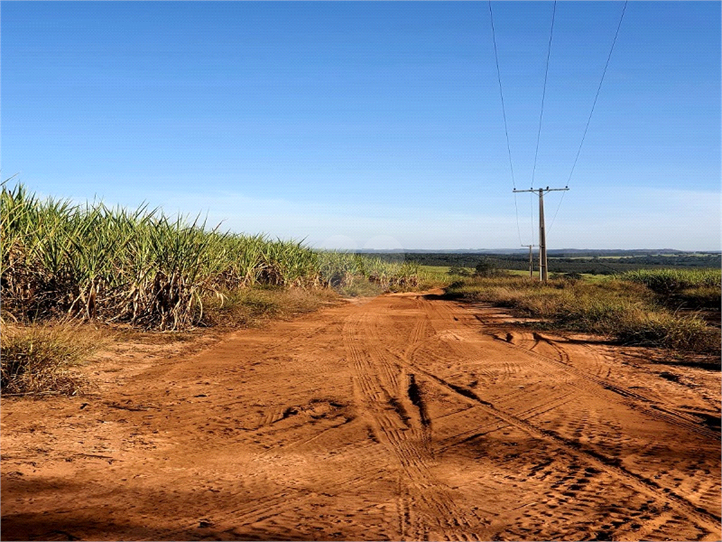 Venda Fazenda Ribeirão Bonito Distrito De Guarapiranga REO709278 4