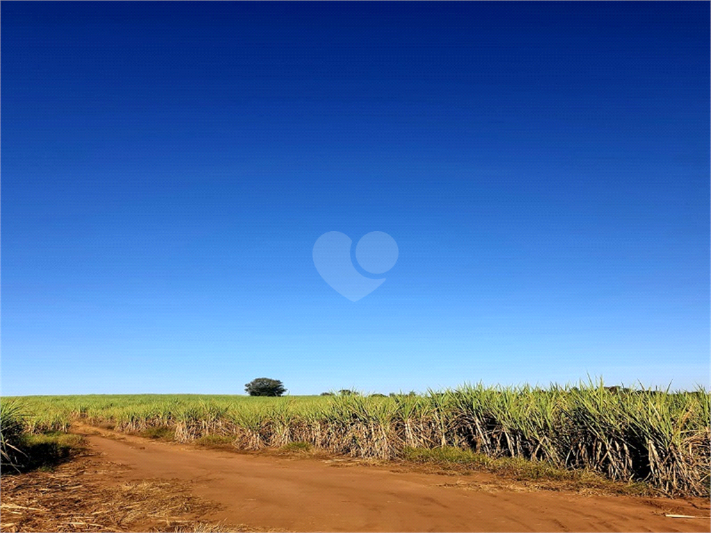 Venda Fazenda Ribeirão Bonito Distrito De Guarapiranga REO709278 12