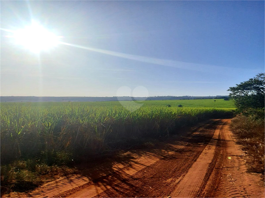 Venda Fazenda Ribeirão Bonito Distrito De Guarapiranga REO709278 2