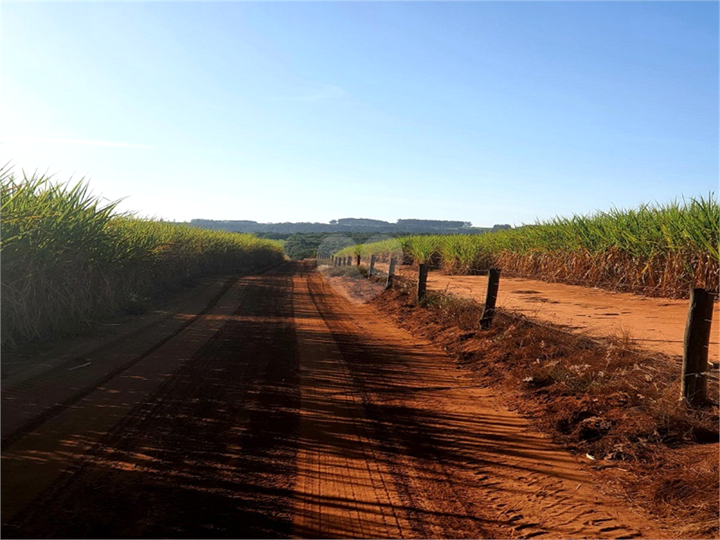 Venda Fazenda Ribeirão Bonito Distrito De Guarapiranga REO709278 7