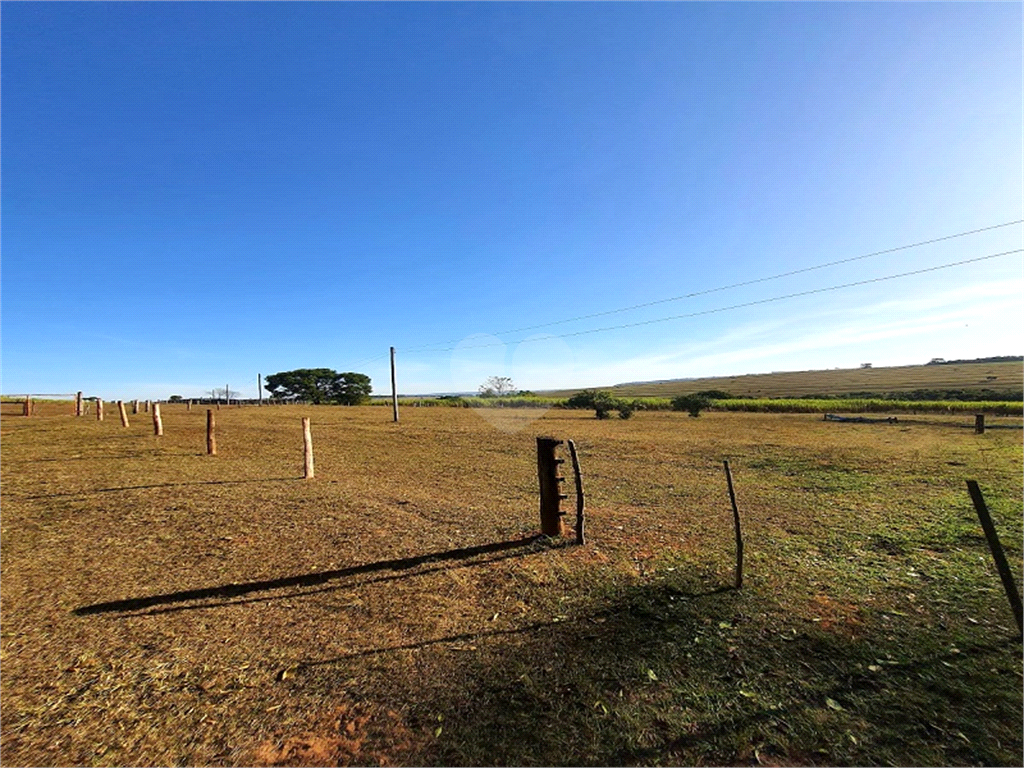 Venda Fazenda Ribeirão Bonito Distrito De Guarapiranga REO709278 13