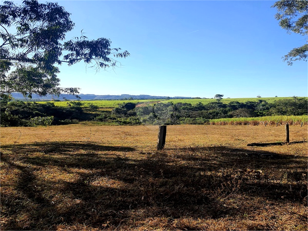 Venda Fazenda Ribeirão Bonito Distrito De Guarapiranga REO709278 21