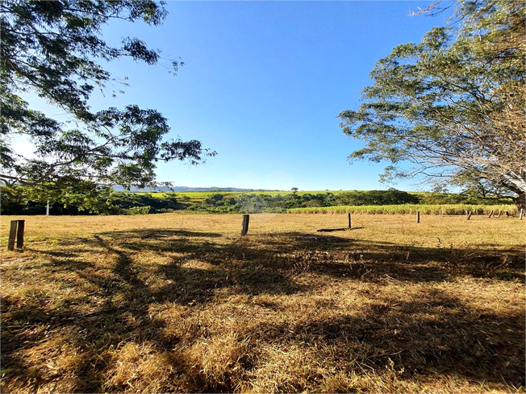 Venda Fazenda Ribeirão Bonito Distrito De Guarapiranga REO709278 19