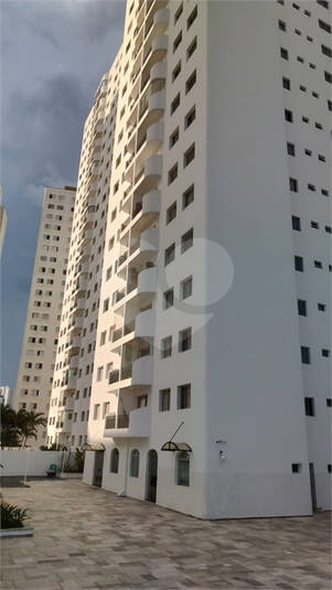 Venda Apartamento São Paulo Jardim Itapeva REO70929 11