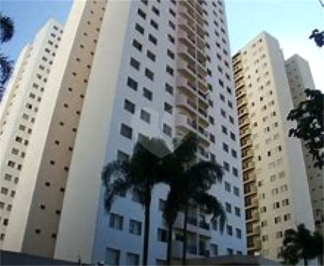 Venda Apartamento São Paulo Jardim Itapeva REO70929 3