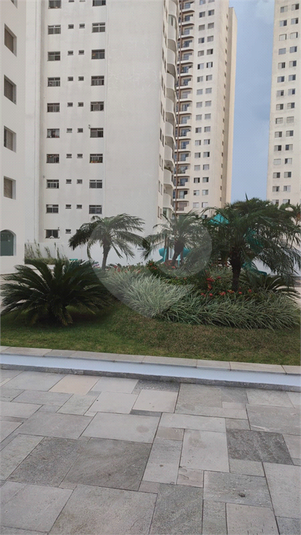 Venda Apartamento São Paulo Jardim Itapeva REO70929 10