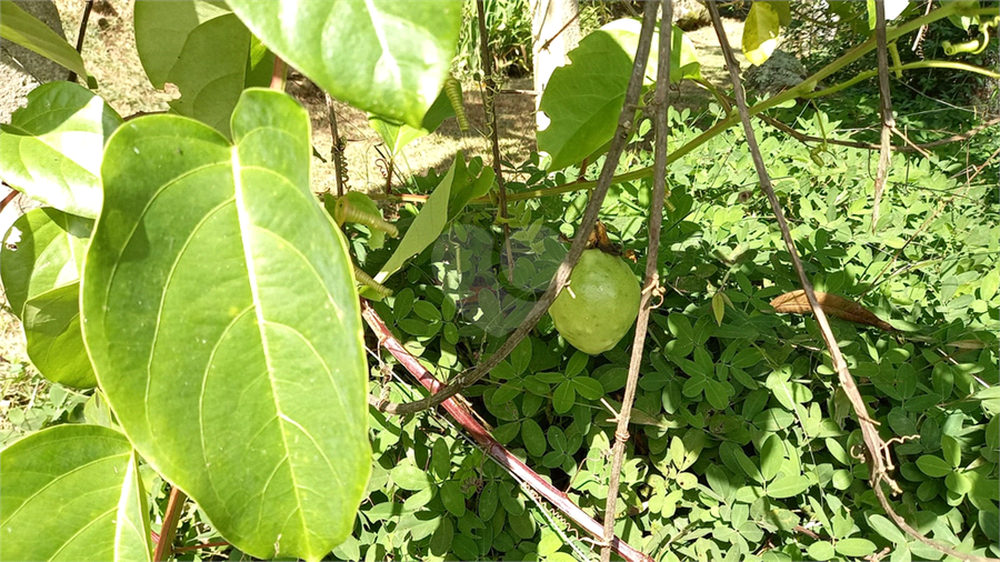 Venda Sobrado Caieiras Serra Da Cantareira REO709345 30