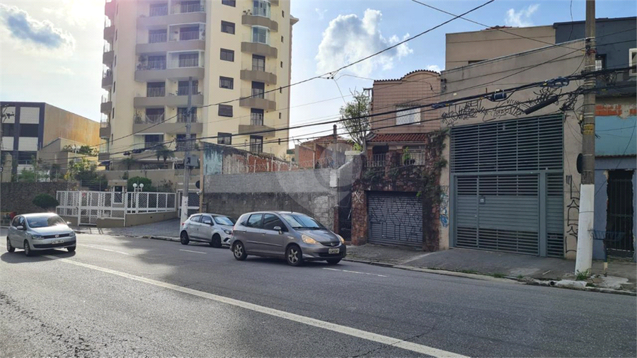 Foto REO709388