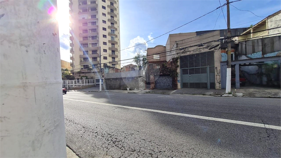 Foto REO709388