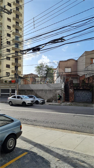 Foto REO709388