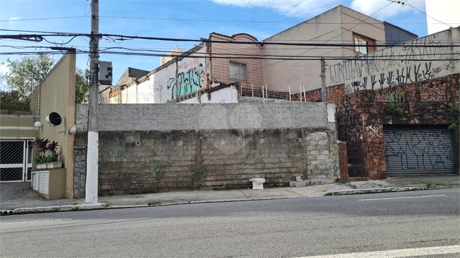 Foto REO709388