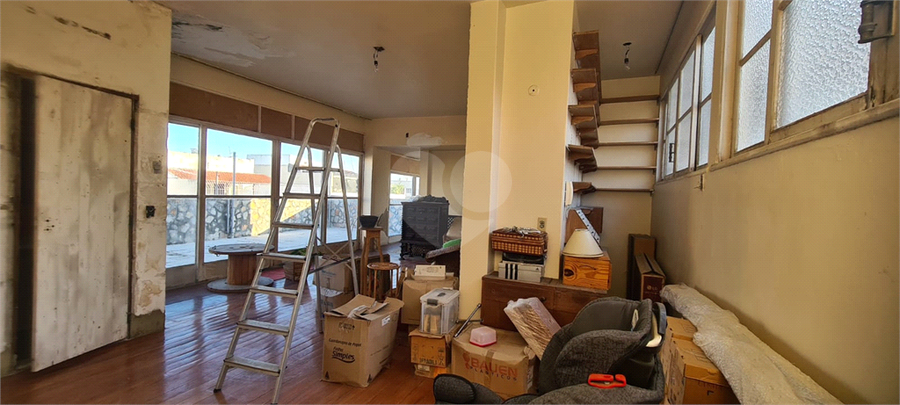 Foto REO709464