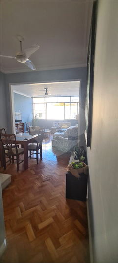 Foto REO709464